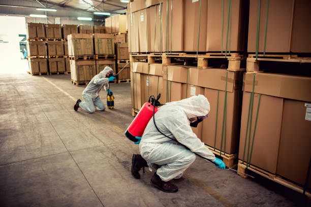 Pest Prevention Services in Montezuma, GA