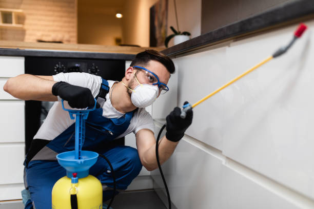 Best Wasp Removal Services  in Montezuma, GA
