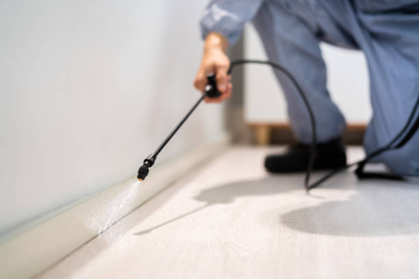 Professional Pest Control in Montezuma, GA