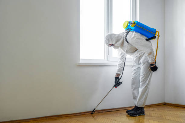 Best Rat Extermination Near Me  in Montezuma, GA