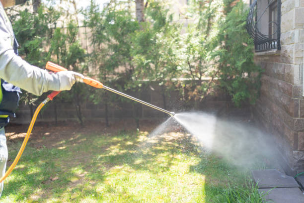 Best Bed Bug Extermination  in Montezuma, GA