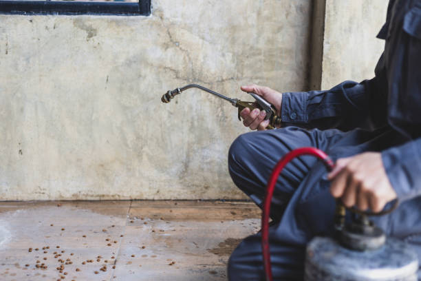 Best Ant Control Services  in Montezuma, GA