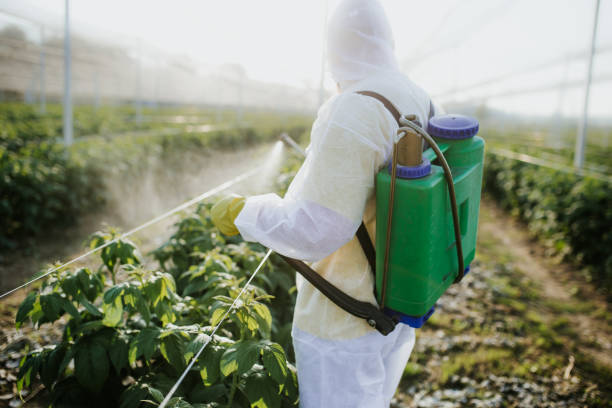 Best Best Pest Control Companies  in Montezuma, GA